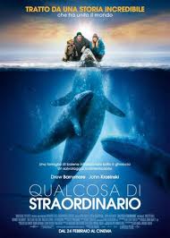 Qualcosa di straordinario [HD] (2012)