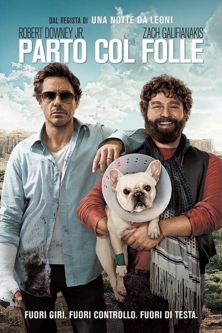 Parto col folle [HD] (2010)