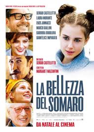 La bellezza del somaro (2010)