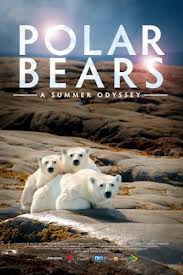 Polar Bears: A Summer Odyssey