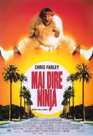 Mai dire ninja (1997)