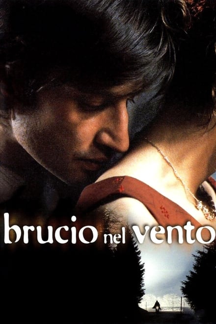 Brucio nel vento (2002)