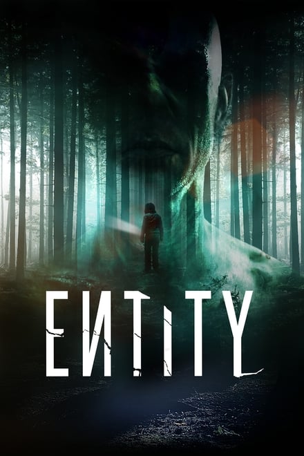 Entity (Sub-ITA) (2012)