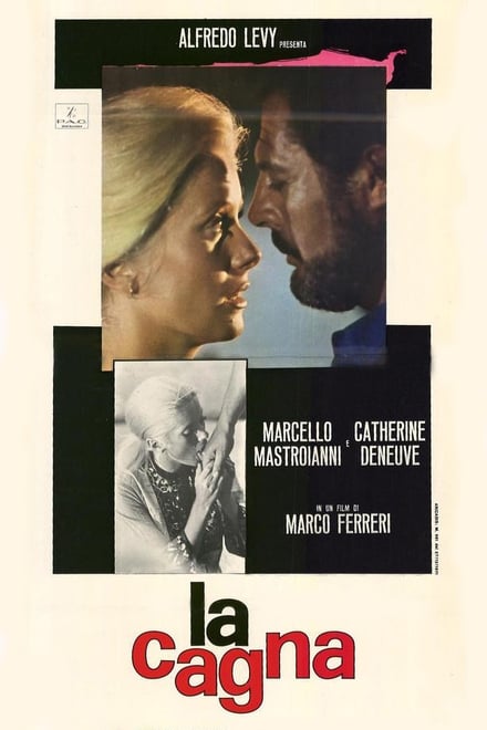 La cagna (1972)