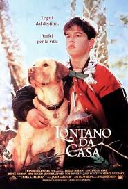 Lontano da casa (1995)