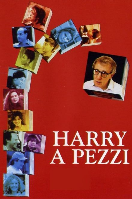 Harry a pezzi (1997)