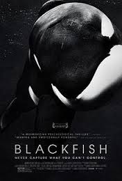 Blackfish Sub-ITA