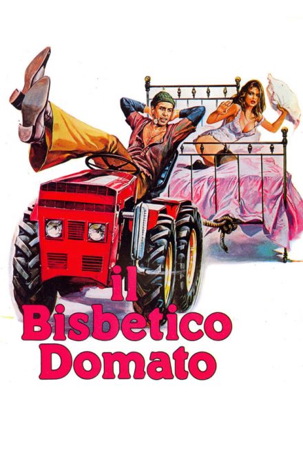 Il bisbetico domato (1980)