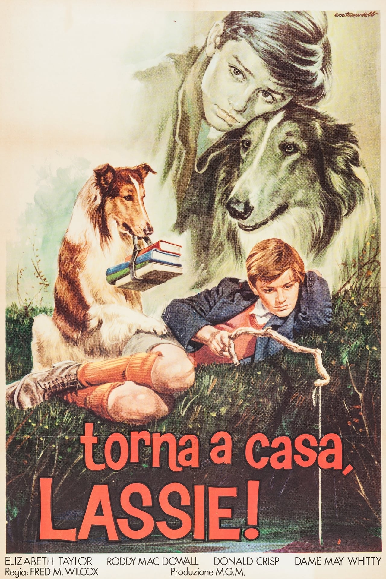 Torna a casa, Lassie! (1943)