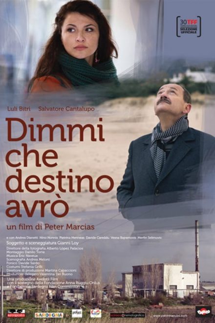 Dimmi che destino avrò (2013)