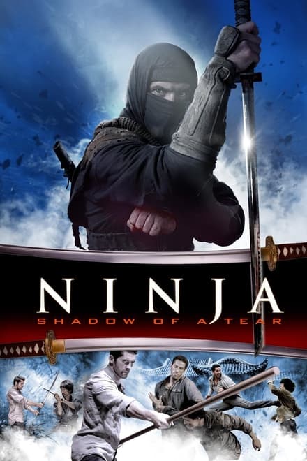 Ninja: Shadow of a Tear (Sub-ITA) (2013)