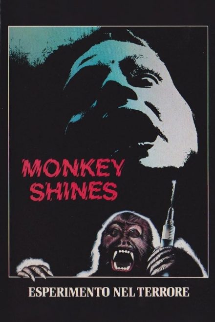 Monkey Shines – Esperimento nel terrore (1988)