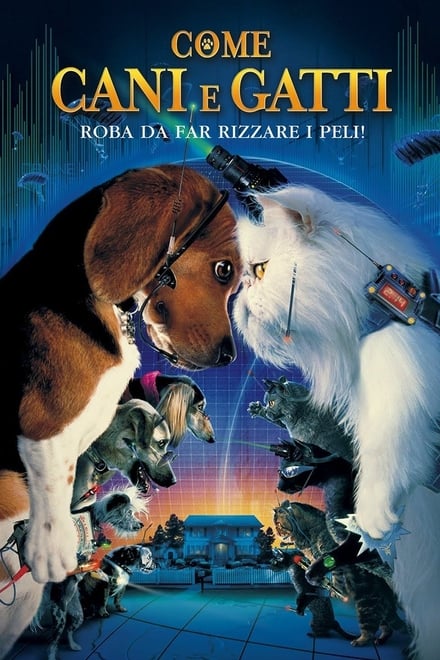 Come cani e gatti [HD] (2001)