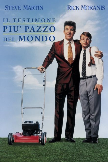 Il testimone più pazzo del mondo (1990)