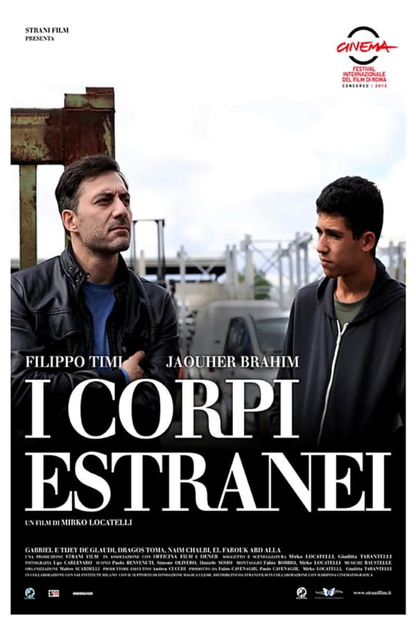 I corpi estranei (2013)