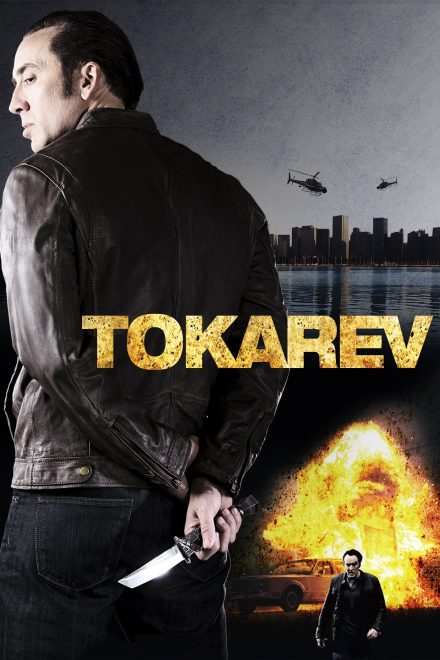 Tokarev (2014)