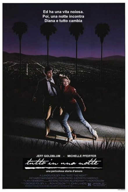 Tutto in una notte (1985)