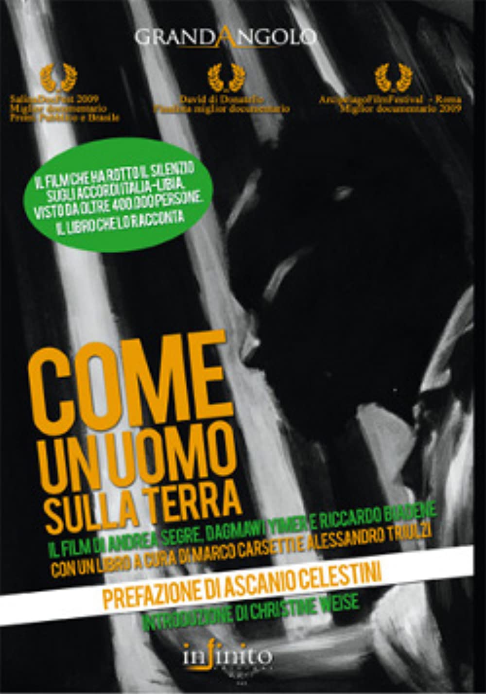 Come un uomo sulla terra (2008)