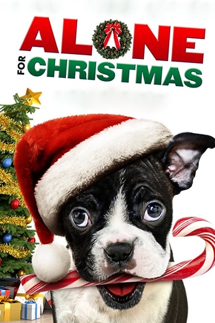 Mamma ho perso il cane – Alone for Christmas [HD] (2013)