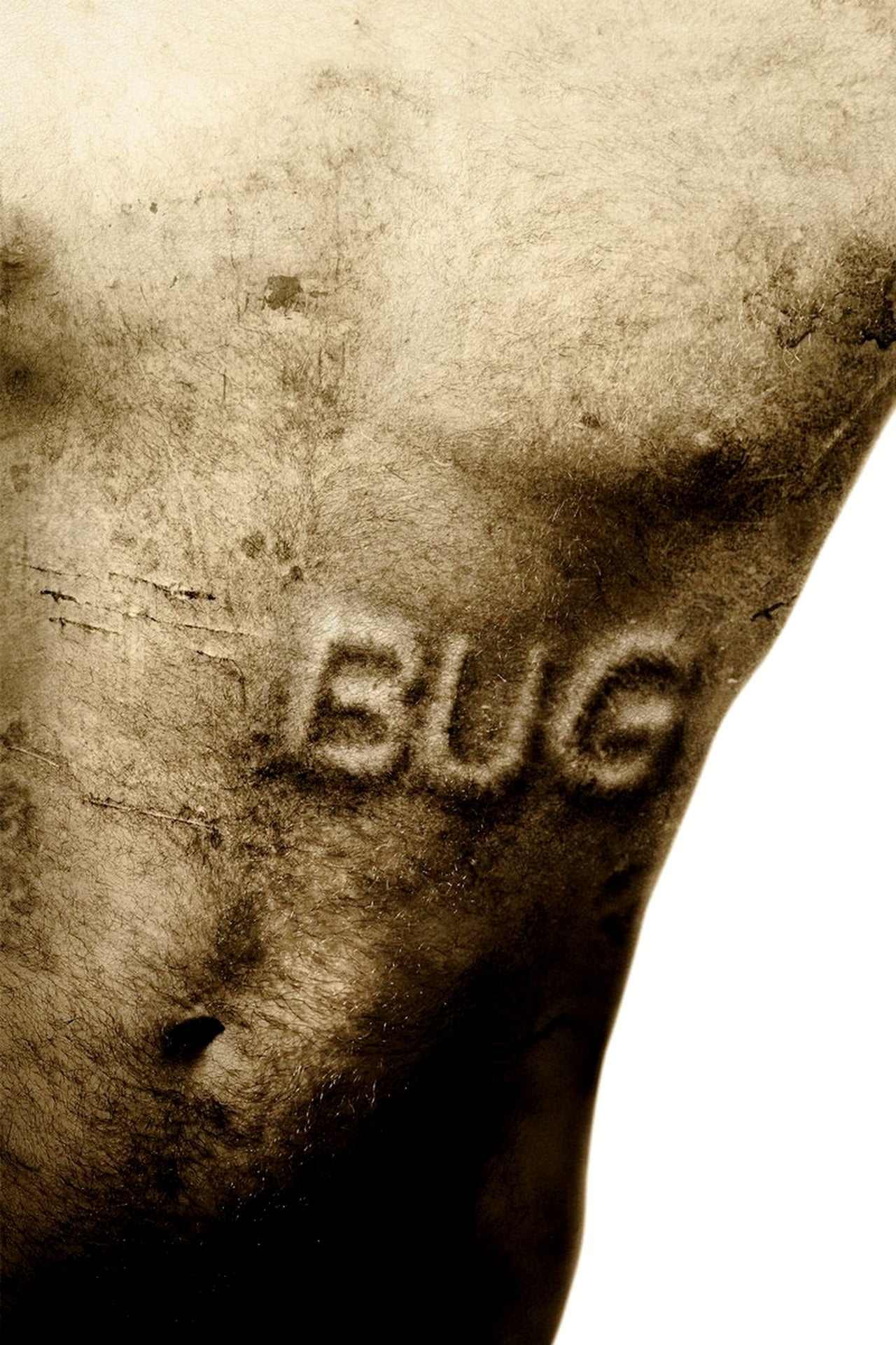 Bug – La paranoia è contagiosa (2006)