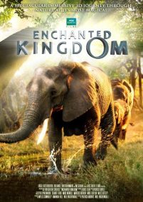 Enchanted Kingdom (Sub-ITA) (2014)