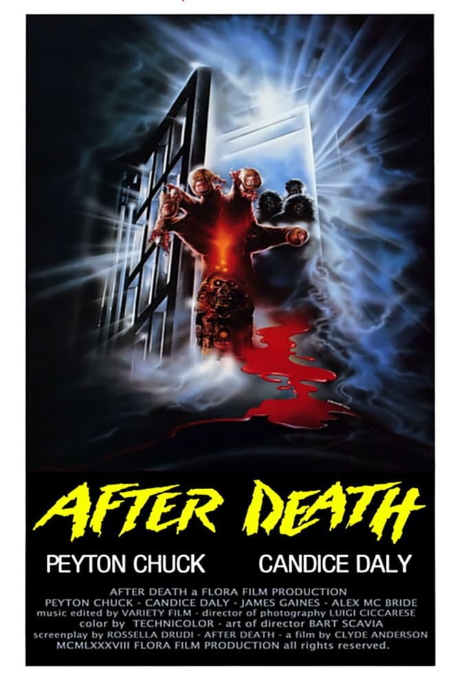 Zombi 4 – After Death (1989)