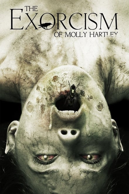 L’esorcismo di Molly Hartley [HD] (2015)