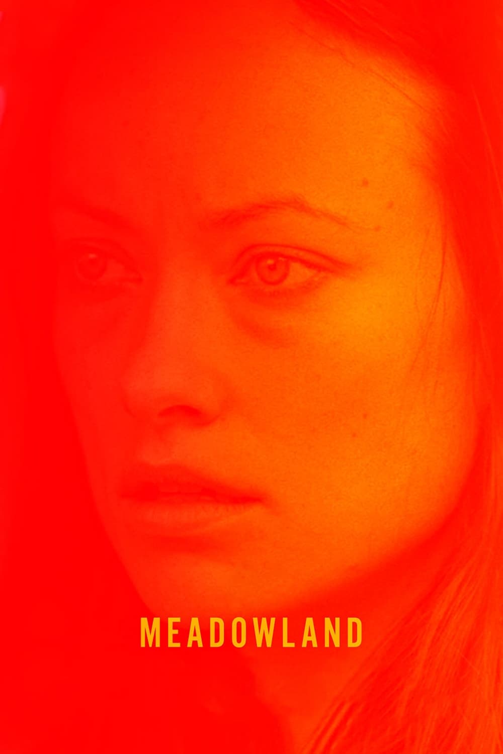 Meadowland – Scomparso (2015)