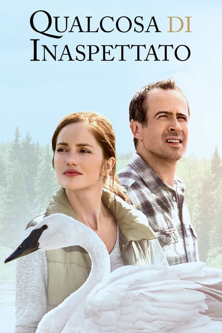 Qualcosa di inaspettato [HD] (2015)