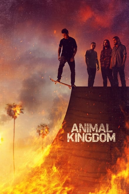 Animal Kingdom [HD]