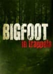 Bigfoot in trappola