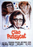 Ciao Pussycat (1965)