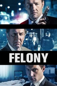 Felony [HD] (2013)