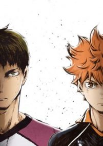 Haikyuu!! Karasuno Koukou vs Shiratorizawa Gakuen Koukou (Sub-ITA)