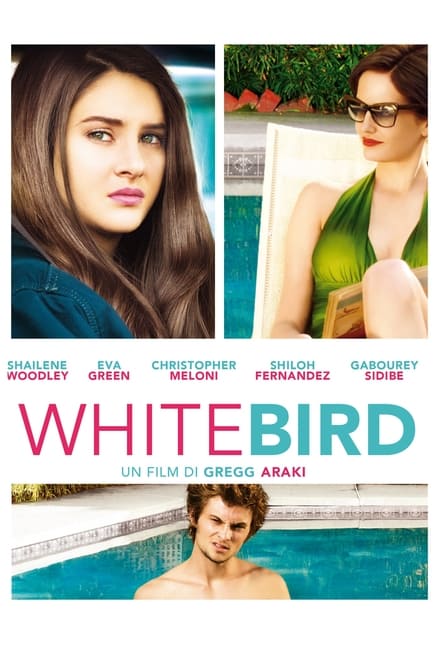 White Bird in a Blizzard [HD] (2014)