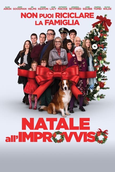 Natale all’improvviso [HD] (2016)