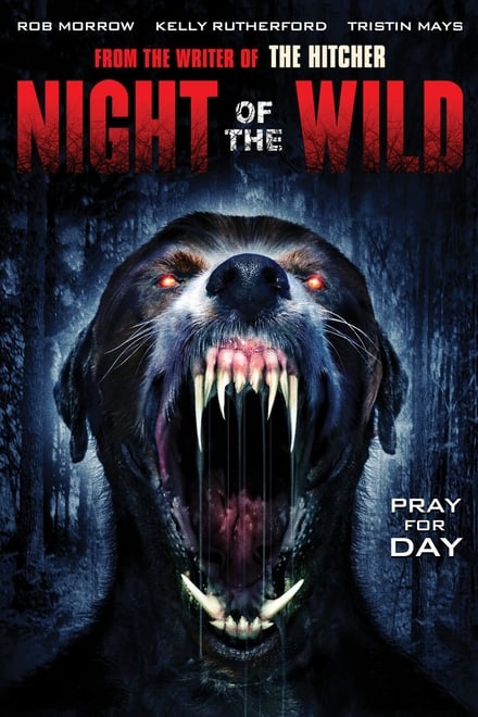 Night of the Wild [HD] (2015)