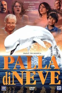 Palla di neve (1995)