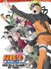 Naruto il film: eredi della volontà di fuoco