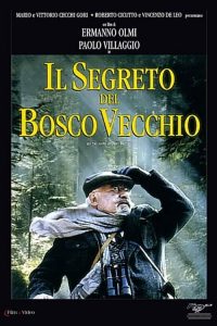 il segreto del bosco vecchio (1993)