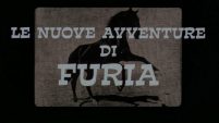 Le nuove avventure di Furia