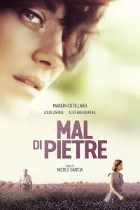 Mal di pietre (2017)