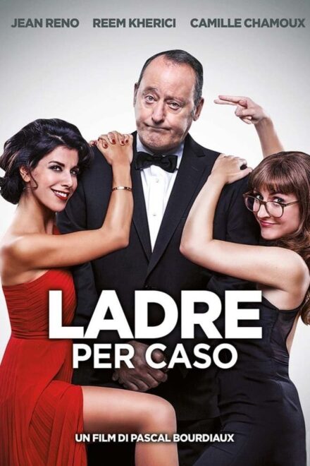 Ladre per caso [HD] (2017)