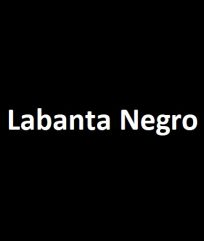 Labanta negro! (1966)