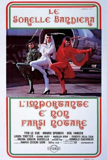 L’importante è non farsi notare (1979)