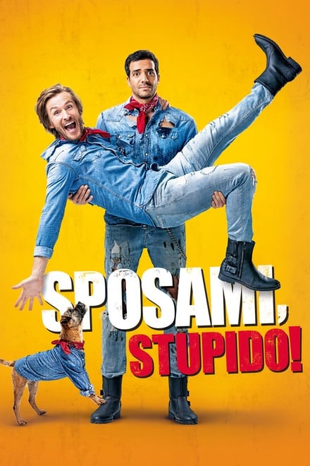 Sposami, stupido! [HD] (2017)