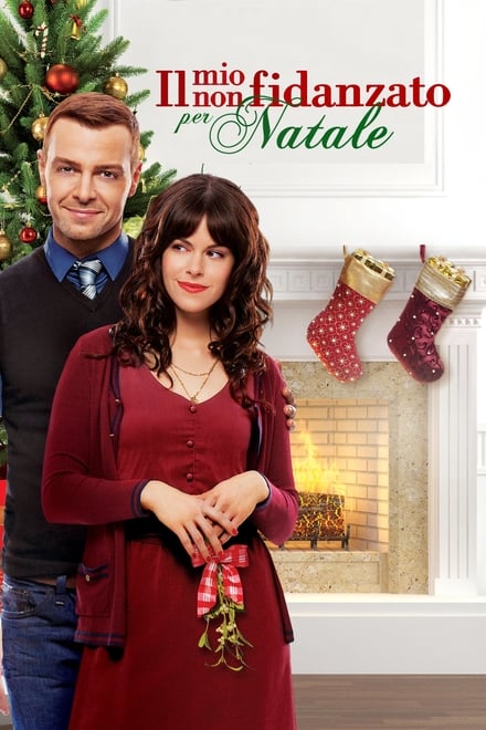 Il mio non fidanzato per Natale (2012)