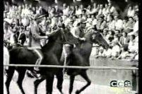 Bianco rosso celeste – Cronaca dei giorni del Palio di Siena (1963)