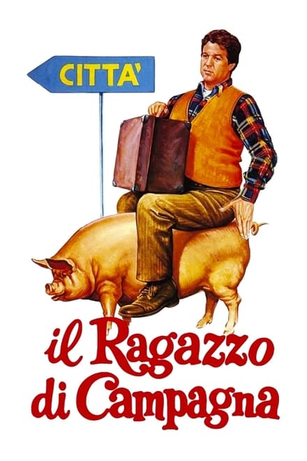 Il ragazzo di campagna (1984)