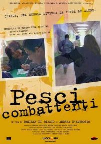 Pesci combattenti